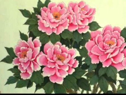 花呗平台现在是正规吗？
