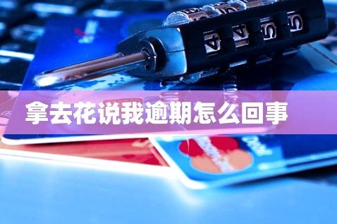 拿去花取现有额度取不出来
