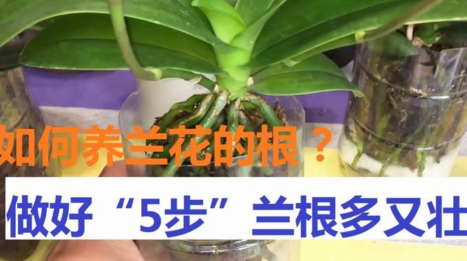 携程网的拿去花怎么用