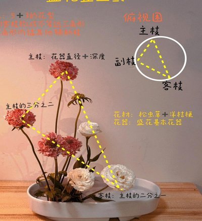 拿去花使用攻略：高效转化虚拟资产
