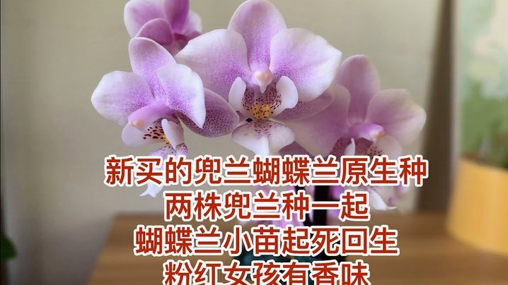 携程网的拿去花怎么提现