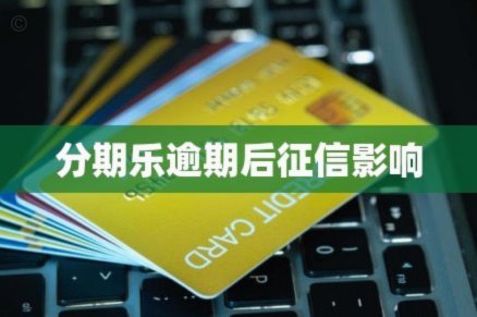 分期乐是什么平台的