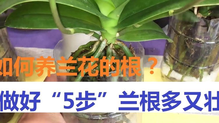携程拿去花提现全攻略
