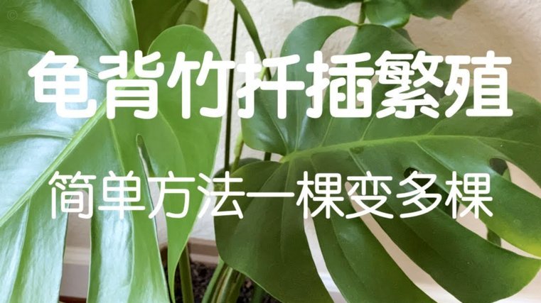 携程的拿去花怎么提现