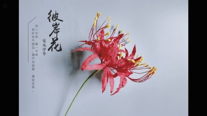 携程的拿去花怎么提现