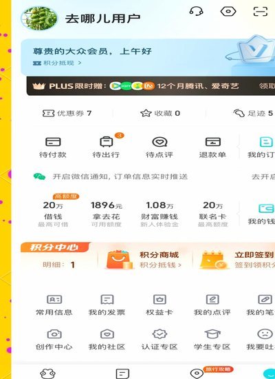 拿去花取现处理中是成功了吗