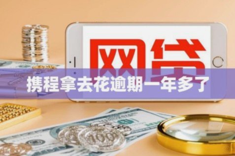 携程拿去花按时还款会上征信吗