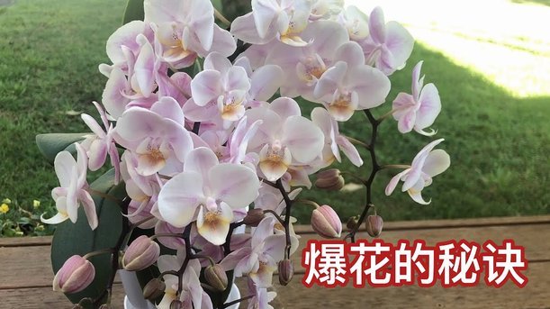 花呗取现攻略：如何安全低成本操作