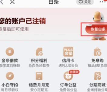 白条哪些app可以用