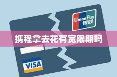 怎么关闭携程拿去花功能