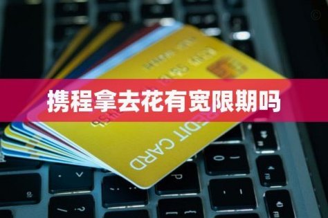 携程拿去花真恶心