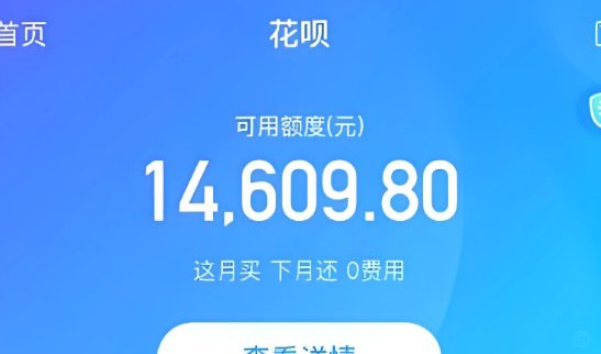花呗自己套的app