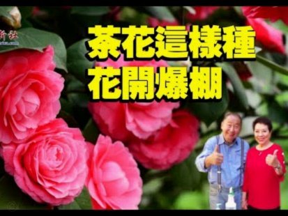 自己如何套取花呗