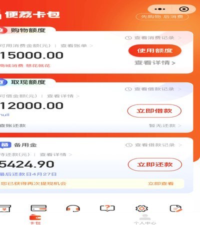 高额信贷背后的风险警示：如何避免“羊小咩”的消费陷阱