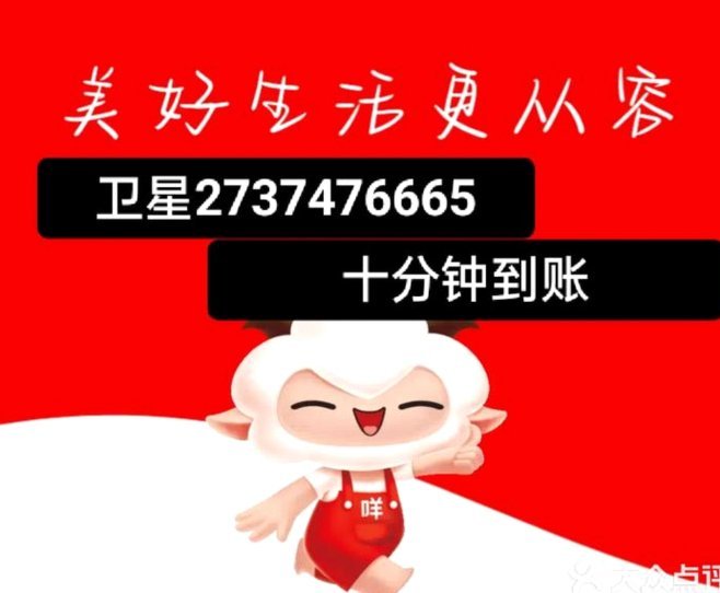 羊小咩额度