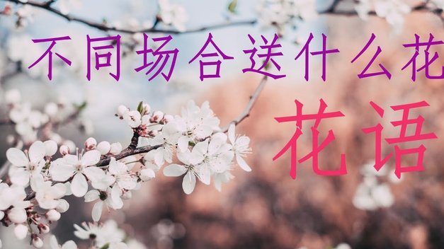花呗套花呗 平台怎么操作