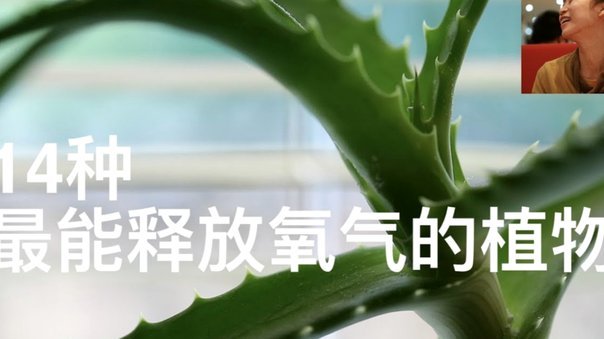 得物佳物分期怎么套出来