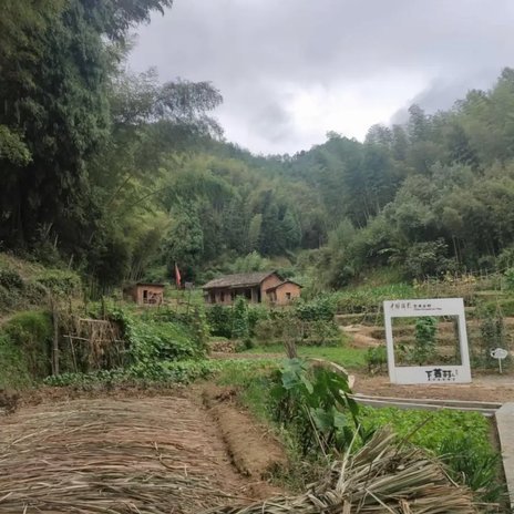 得物申请额度