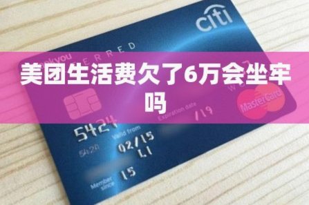 美团生活费可以套还吗