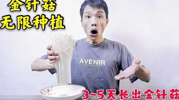 白条可以秒到吗