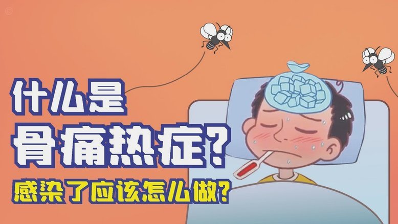 白条应该怎么套出来