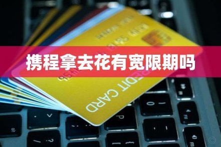 携程拿去花攻略：省钱小技巧