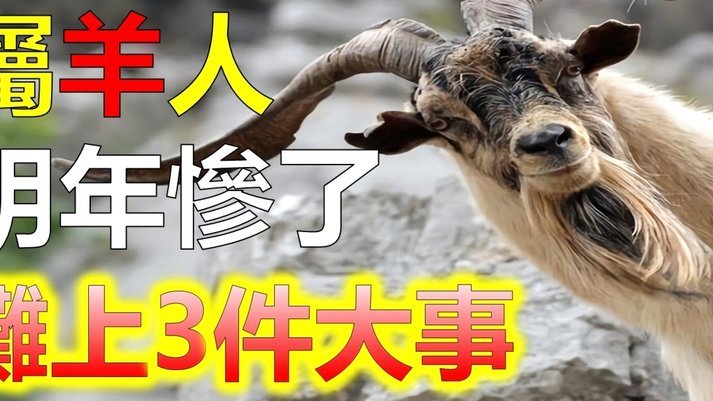 羊小咩额度怎么套出来现金