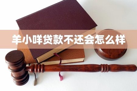 羊小咩：校园贷是“助学”还是“套路贷”？