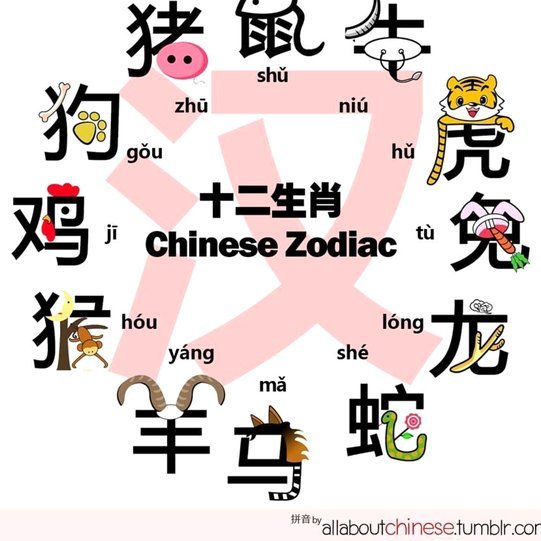 分期乐额度如何正确使用