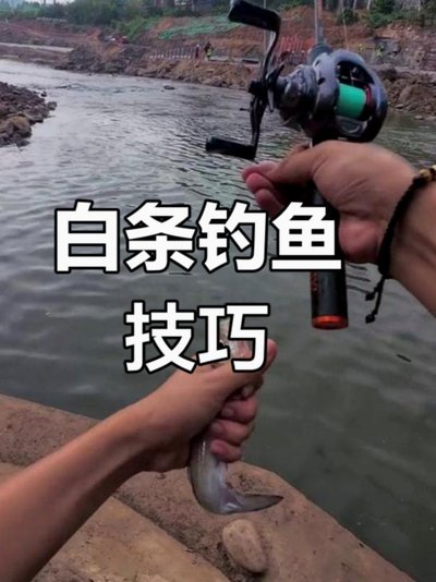 白条怎么套出来自己用技巧