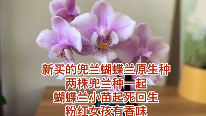 花呗取现不了？这几个原因你得知道