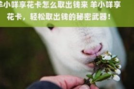 羊小咩便荔卡提现技巧：快速安全指南