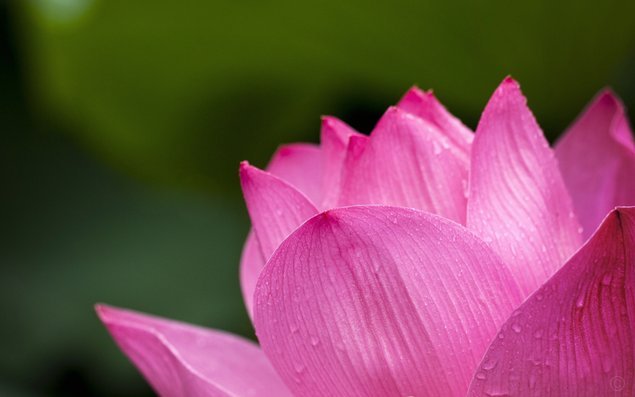 花呗智能客服热线详解