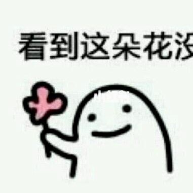 花里套路：权力下的生存智慧