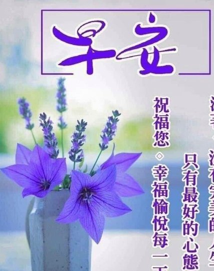 花呗借钱安全可靠？解析风控与监管机制