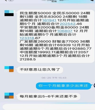 分期乐逾期别焦虑，掌握官方协商电话与高效沟通技巧