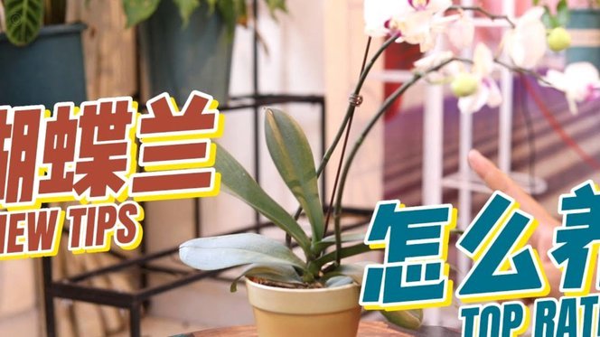 2021年花呗如何合法操作