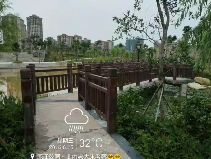 鹿网跑路背后：数字资产平台的信任与监管