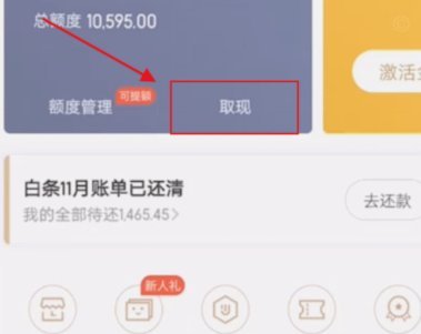 得物提现需要多久 取现
