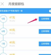 白条额度怎么合理利用