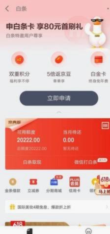 白条支付平台：信用驱动的消费革命