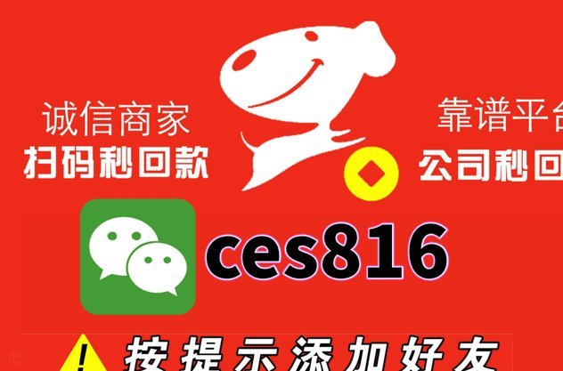 羊小咩额度：虚拟财富的迷思与真相