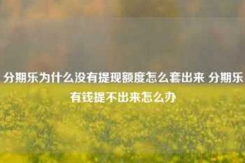 有额度却借不到钱？分期乐用户的信用困扰