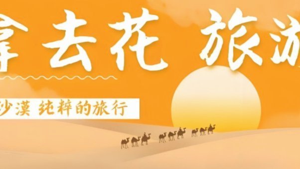 拿去花怎么套出来提现
