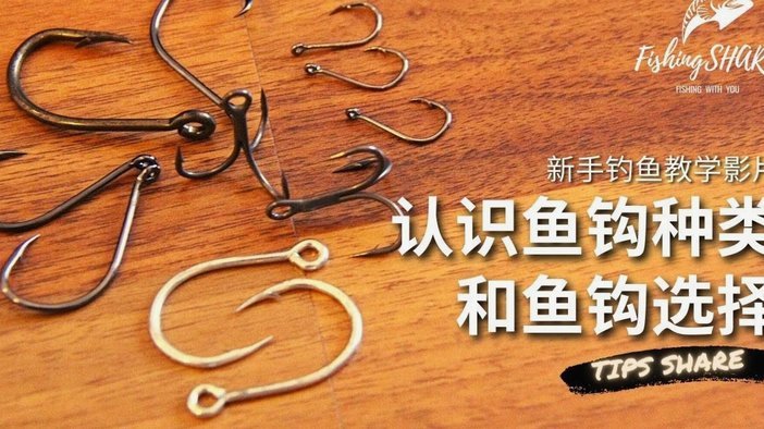 水面上的白条怎么钓