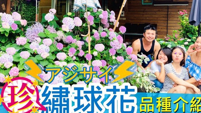 拍拍花贷款正规吗